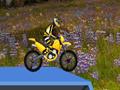 Hillblazer FMX untuk bermain dalam talian