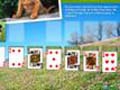 Animal Planet Solitaire untuk bermain dalam talian